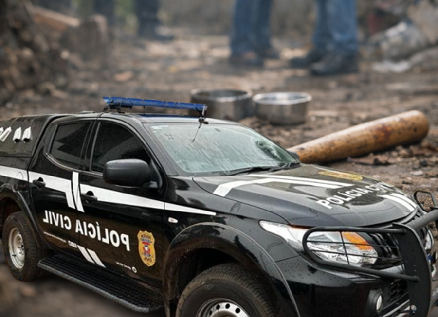 Homem é indiciado por morte de gatos em Rondonópolis